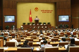 越南第十四届国会第七次会议：就备受关注的四大问题进行质询活动