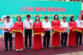 山罗省芒果远销欧美市场