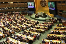 越南参加联合国会议为提高妇女在工业领域中的地位建言献策