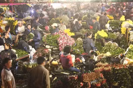 越南被评选为世界迎新年最有趣的13个地方之一