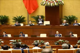 越南第十四届国会第八次会议专题询问活动落幕