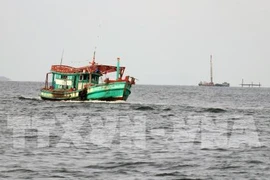 越南成立打击非法、不报告和不管制捕捞(IUU)国家指导委员会 