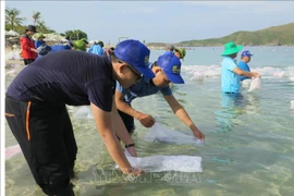 放养鱼苗 助力芽庄湾渔业资源恢复