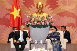 阮氏金银会见委内瑞拉统一社会主义党高级代表团