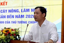 农业与农村发展部部长阮春强：面向出口农业种苗