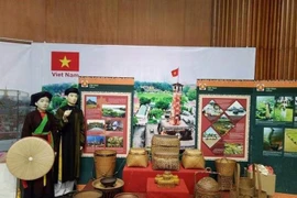 东盟各国和各伙伴“文化之色”专题展在广宁省举行