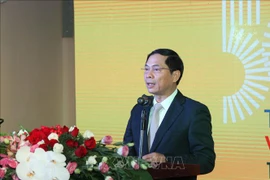 越南和瑞典建交50周年纪念活动在河内举行