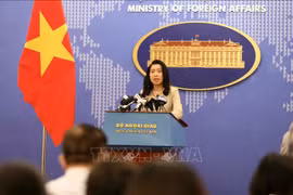 越南外交部发言人：中国没有任何国际法律依据对所谓“万安滩”提出主权声索