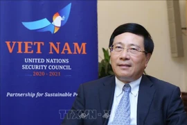 范平明：越南依照国际法优先推动全球性问题