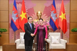 越南国会主席阮氏金银会见柬埔寨首相洪森