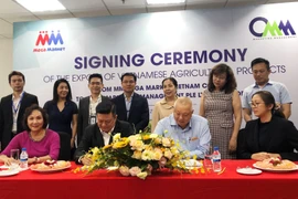 MM Mega Market(越南)公司今年9月向新加坡出口首批农产品