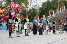 奠边省昭离山区民族同胞欢天喜地迎新春