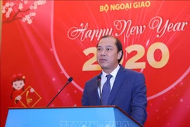 越南外交部举行2020年新年外国驻越代表机构文化新闻随员和国际新闻机构助理和记者见面会