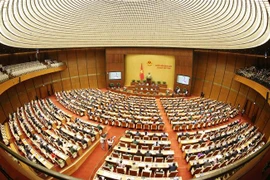 第十四届国会第八次会议：为少数民族地区经济社会发展打下坚实的基础
