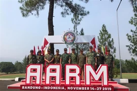 越南代表团在AARM 29比赛中排名第三