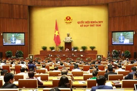 越南第十四届国会第八次会议：对六部法案和决议进行表决