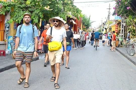 前5月越南接待外国游客量达近730万人次