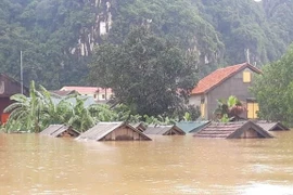 阮春福总理：主动做好暴雨洪水应对和灾后恢复重建工作