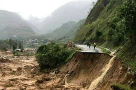 莱州老街等省突降暴雨引发洪水造成重大损失