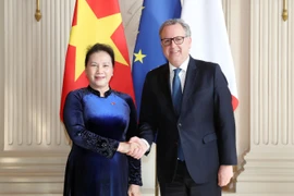 越南国会主席阮氏金银同法国国民议会议长举行会谈