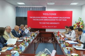 比利时议会代表团和比利时驻越大使对芹苴市进行工作访问