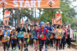 2019年越野马拉松赛圆满结束 多项冠军出炉