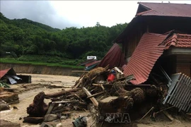 欧洲联盟向越南洪水灾民提供10万欧元救助