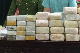 乂安省：查获一起贩卖毒品案 缴获18公斤冰毒和30块海洛因砖