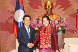 越南国会主席阮氏金银会见老挝外交部长沙伦赛·贡玛西