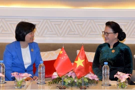 越南国会主席阮氏金银会见中国全国人大常委会副委员长沈跃跃