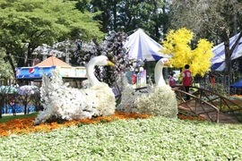 胡志明市己亥新春花卉展今日开展