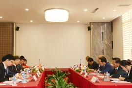 越老两国深入交换宣教经验