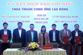 北江省举行在线招聘会 与11个省市直接连线