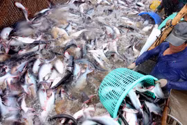 2019年水产行业力争实现到出口额达100亿美元的目标