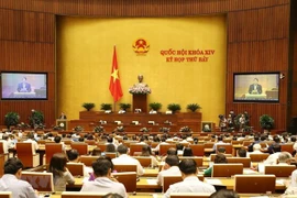 越南第十四届国会第七次会议：政府副总理范平明回答国会代表关注的问题