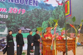 越南山区各族同胞欢庆下田节