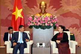 越南国会主席阮氏金银会见缅甸国防军总司令敏昂莱