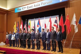 越南外交部副部长阮国勇出席第17届东亚论坛