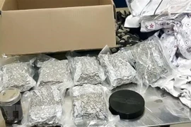 奠边省：逮捕非法运输20公斤毒品进入越南境内的三名老挝籍嫌犯