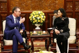 越南国家副主席会见爱尔兰全球风能与太阳能公司执行总裁