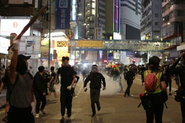 越南外交部：尚未收到有关越南大学生、公民在中国香港遭受损害的信息