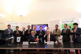 越竹航空公司促进河内-墨尔本直达航线的开通 