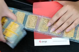 11月13日越南国内黄金价格略增