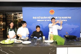 越南为南非东盟文化节的成功做出积极贡献
