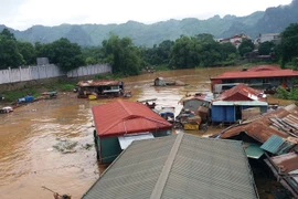 2019年前5月越南北部山区各种自然灾害共造成18人死亡 