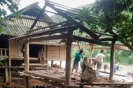 越南北部山区遭受第三号台风的袭击