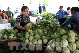 对中国市场出口农产品：机遇与挑战