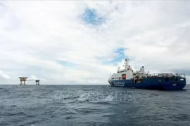法国、德国和英国就东海问题发表联合声明