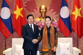 越南国会主席阮氏金银会见老挝政府总理通伦·西苏里