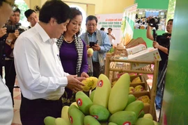 为越南庆和省芒果进入美国市场铺平道路